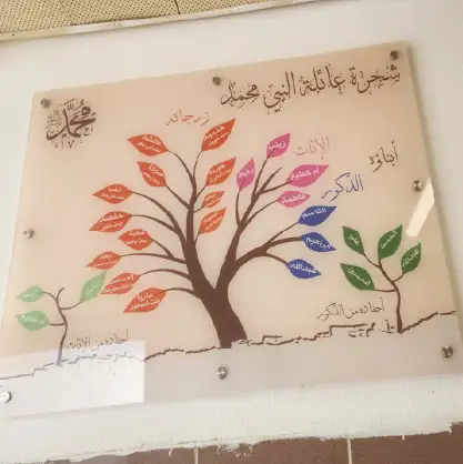 זכוכיות מעוצבות