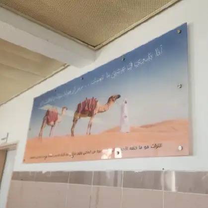 זכוכיות מעוצבות