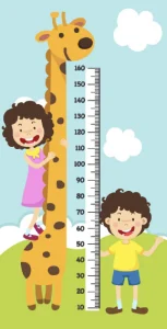 עיצוב דלת מספר 30