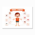 Body parts poster