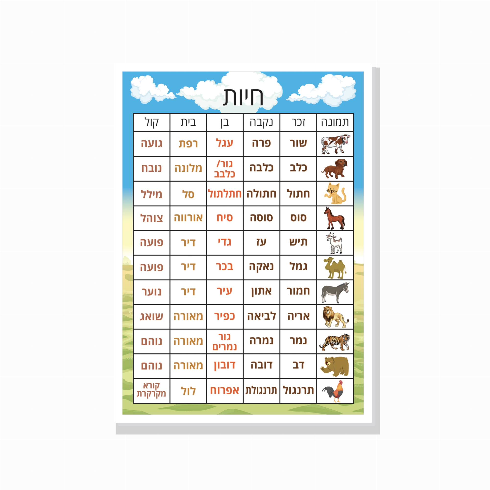 פוסטר טבלת שמות חיות