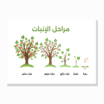 פוסטר טבע ומדעים – 5