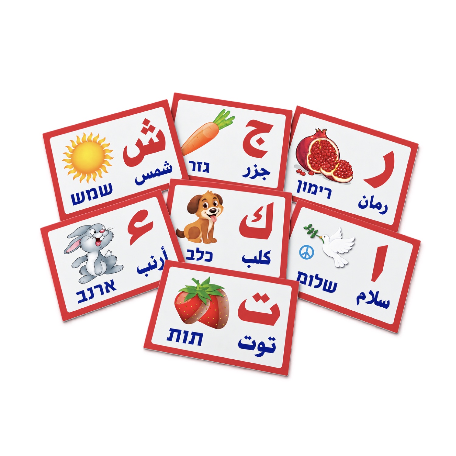 כרטיסיות אותיות ערבית-עברית כרטיסיות אותיות בערבית – עם מילים בערבית ובעברית – תמונה 1